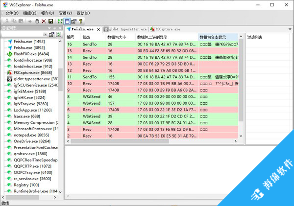 WSExplorer(网络抓包工具)_2