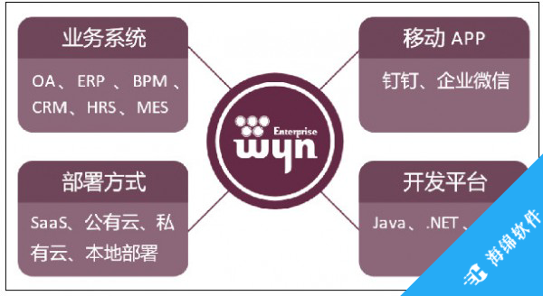 Wyn Enterprise(嵌入式商业智能和报表软件)_2