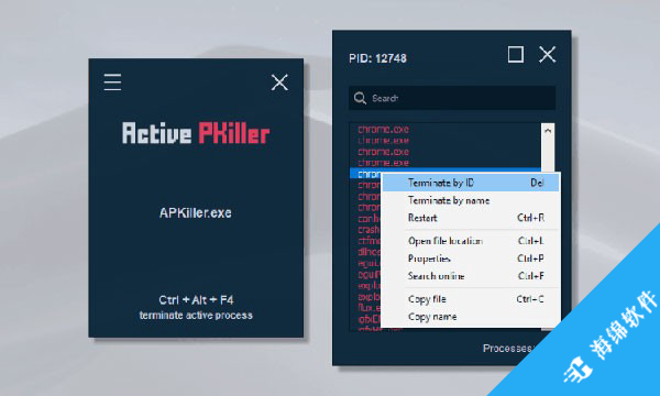Active PKiller(强制结束进程工具)_2