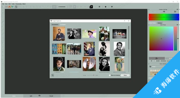 CODIJY Colorizer Pro(照片着色软件)_1