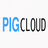 pig(权限管理系统) v3.0.0官方版 for Win