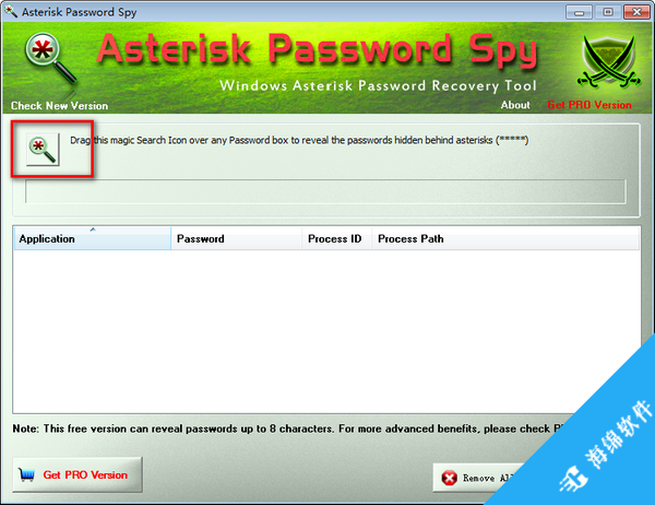 Asterisk Password Spy(星号密码查看器)_3