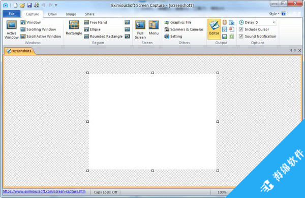 EximiousSoft Screen Capture(屏幕捕获抓取工具)_2