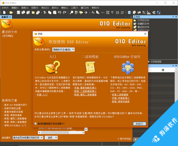 十六进制编辑器(010 Editor 32位)_1