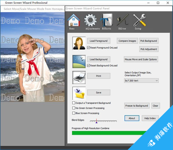 背景去除工具(Green Screen Wizard Pro)_1
