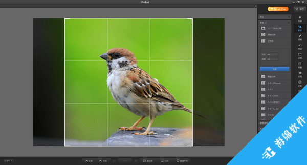 Fotor(照片优化编辑器)_4