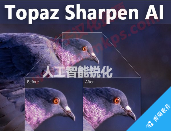 Topaz Sharpen AI(人工智能清晰锐化软件)_2