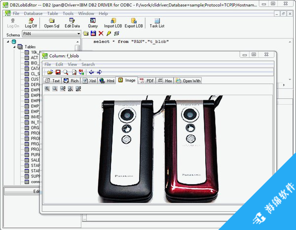 DB2LobEditor(db2数据库编辑工具)_1