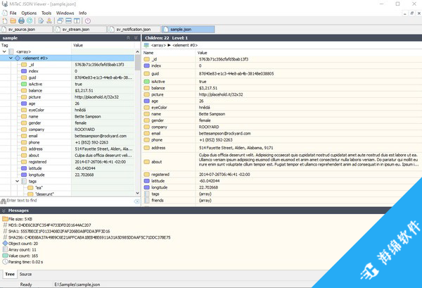 MiTec JSON Viewer(JSON查看器)_2